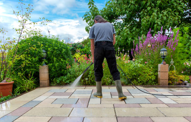 Best Fence Cleaning  in Rincon, GA